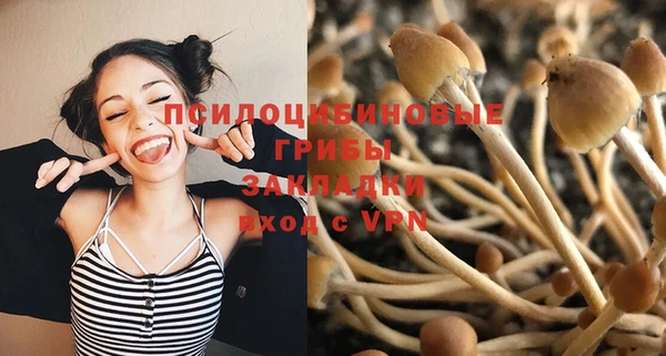 кристаллы Няндома