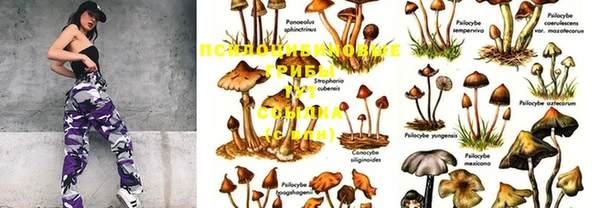 марки nbome Новокубанск