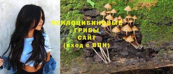 марки nbome Новокубанск