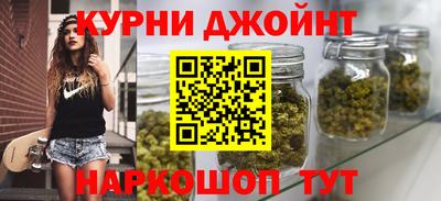 индика Ирбит