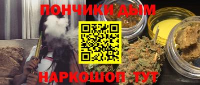 индика Ирбит