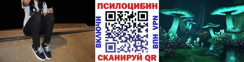 Псилоцибиновые грибы Psilocybine cubensis наркота Касимов