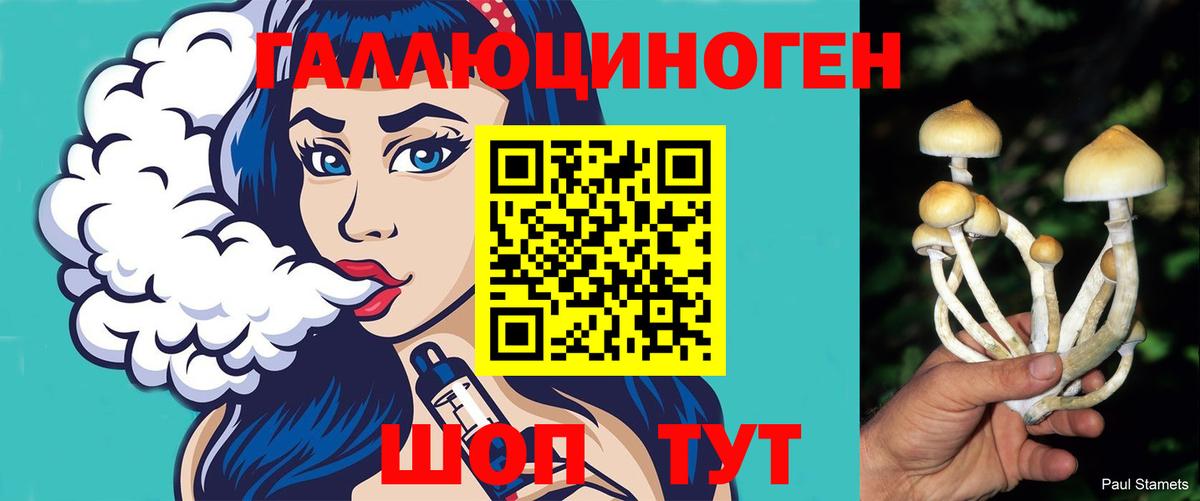 Галлюциногенные грибы MAGIC MUSHROOMS  Касимов 