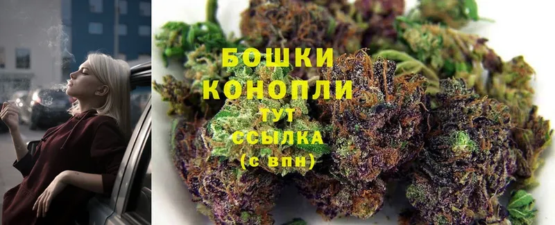 Бошки марихуана Bruce Banner  закладки  Касимов 